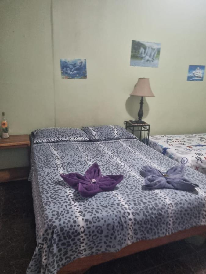 Hotel Paradise Alajuela Río Segundo Eksteriør billede