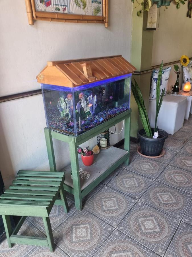 Hotel Paradise Alajuela Río Segundo Eksteriør billede